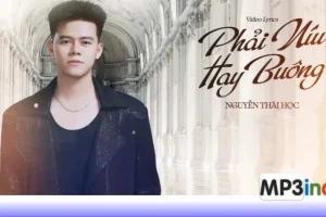 Lời bài hát Phải Níu Hay Buông – Thái Học x Nguyễn Vĩ