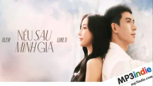 Lời bài hát Nếu Sau Mình Già - Luke D, Olew