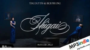 Lời bài hát IKIGAI - Tăng Duy Tân, Bích Phương 1 bài hát IKIGAI - Tăng Duy Tân, Bích Phương