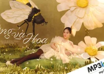 Lời bài hát Ong Và Hoa – Hương Tràm