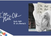 Lời bài hát I’m Not OK – Xuân Nghi, It’s CHARLES Lời bài hát I’m Not OK – Xuân Nghi, It’s CHARLES