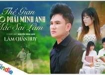 Lời bài hát Thế Gian Nào Phải Mình Anh Mắc Sai Lầm – Lâm Chấn Huy