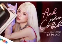 Lời bài hát Anh Nào Có Biết – Thương Võ