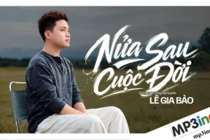 Lời bài hát Nữa Sau Cuộc Đời – Lê Gia Bảo / Thái Học